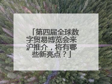 第四届全球数字贸易博览会来沪推介，将有哪些新亮点？