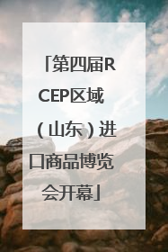 第四届RCEP区域（山东）进口商品博览会开幕