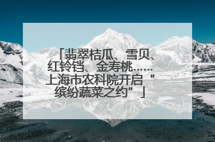 翡翠桔瓜、雪贝、红铃铛、金寿桃……上海市农科院开启“缤纷蔬菜之约”