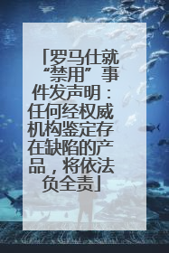 罗马仕就“禁用”事件发声明：任何经权威机构鉴定存在缺陷的产品，将依法负全责