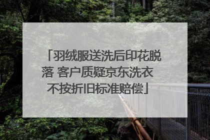 羽绒服送洗后印花脱落 客户质疑京东洗衣不按折旧标准赔偿