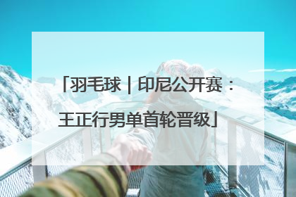 羽毛球｜印尼公开赛：王正行男单首轮晋级