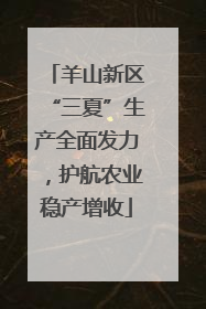 羊山新区“三夏”生产全面发力，护航农业稳产增收