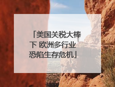 美国关税大棒下 欧洲多行业恐陷生存危机