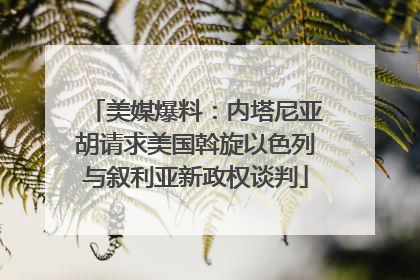 美媒爆料：内塔尼亚胡请求美国斡旋以色列与叙利亚新政权谈判