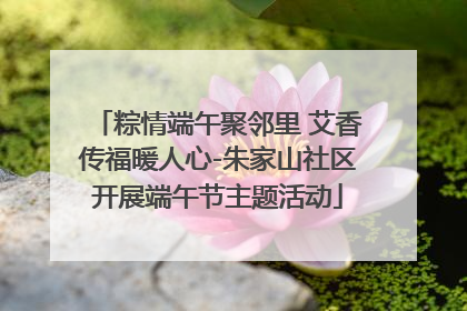粽情端午聚邻里 艾香传福暖人心-朱家山社区开展端午节主题活动