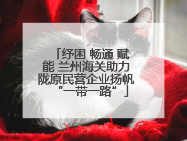 纾困 畅通 赋能 兰州海关助力陇原民营企业扬帆“一带一路”
