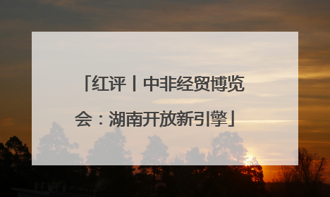 红评丨中非经贸博览会：湖南开放新引擎