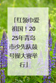 红领巾爱祖国！2025年青岛市少先队鼓号操大赛举行
