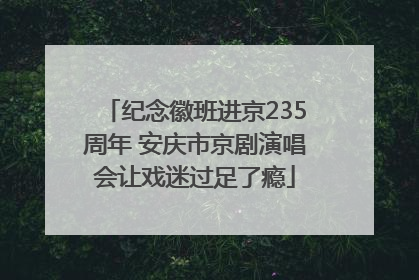 纪念徽班进京235周年 安庆市京剧演唱会让戏迷过足了瘾
