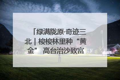绿满陇原·奇迹三北｜梭梭林里种“黄金” 高台治沙致富很“从容”