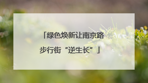 绿色焕新让南京路步行街“逆生长”