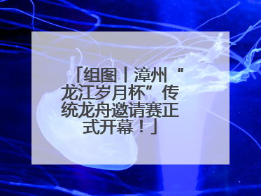 组图丨漳州“龙江岁月杯”传统龙舟邀请赛正式开幕！