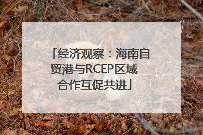 经济观察：海南自贸港与RCEP区域合作互促共进