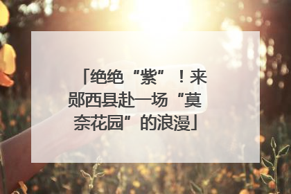绝绝“紫”！来郧西县赴一场“莫奈花园”的浪漫