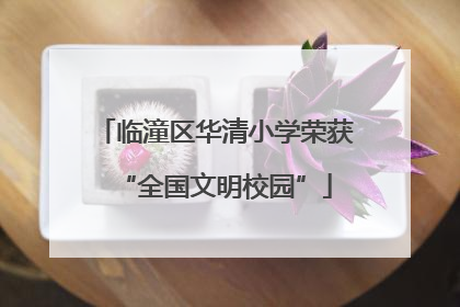 临潼区华清小学荣获“全国文明校园”