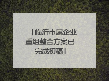 临沂市属企业重组整合方案已完成初稿