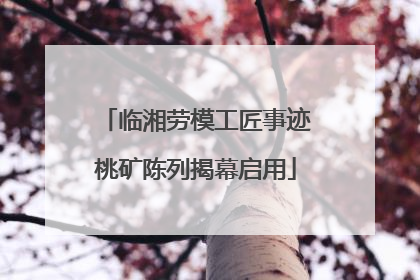 临湘劳模工匠事迹桃矿陈列揭幕启用