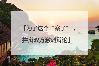 为了这个“案子”，控辩双方激烈辩论