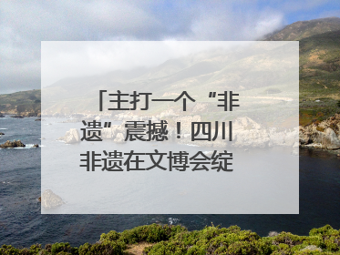 主打一个“非遗”震撼！四川非遗在文博会绽放时代光彩｜文博向“新”