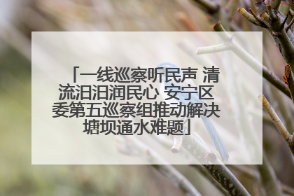 一线巡察听民声 清流汨汨润民心 安宁区委第五巡察组推动解决塘坝通水难题