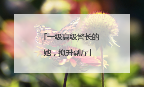 一级高级警长的她，拟升副厅