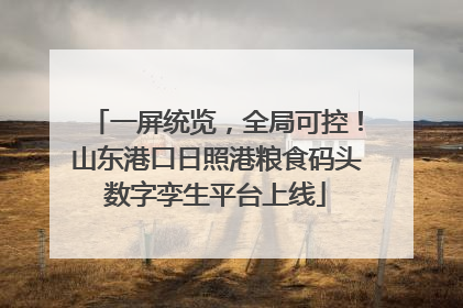 一屏统览，全局可控！山东港口日照港粮食码头数字孪生平台上线