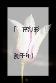一帘灯影溯千年