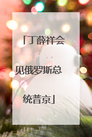 丁薛祥会见俄罗斯总统普京