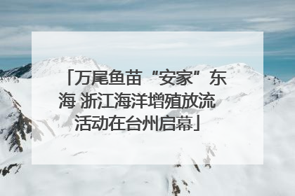 万尾鱼苗“安家”东海 浙江海洋增殖放流活动在台州启幕