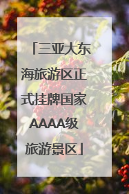 三亚大东海旅游区正式挂牌国家AAAA级旅游景区