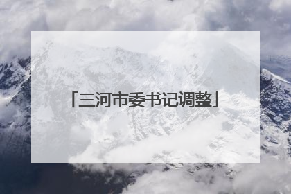 三河市委书记调整
