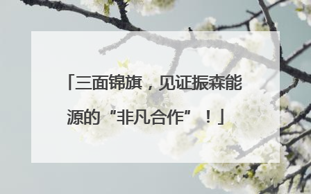 三面锦旗，见证振森能源的“非凡合作”！
