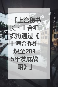 上合秘书长：上合组织将通过《上海合作组织至2035年发展战略》