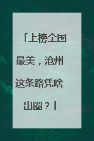 上榜全国最美，沧州这条路凭啥出圈？