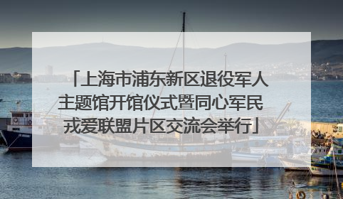 上海市浦东新区退役军人主题馆开馆仪式暨同心军民戎爱联盟片区交流会举行