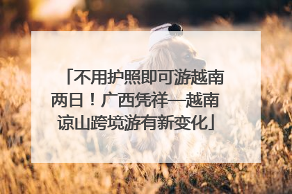 不用护照即可游越南两日！广西凭祥—越南谅山跨境游有新变化