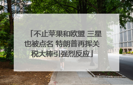 不止苹果和欧盟 三星也被点名 特朗普再挥关税大棒引强烈反应