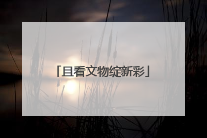 且看文物绽新彩