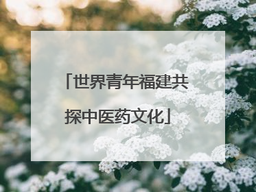 世界青年福建共探中医药文化