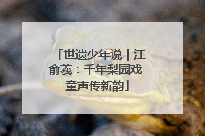 世遗少年说｜江俞羲：千年梨园戏 童声传新韵