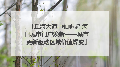 丘海大道中轴崛起 海口城市门户焕新——城市更新驱动区域价值蝶变