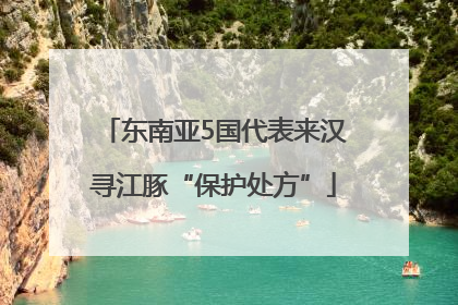 东南亚5国代表来汉寻江豚“保护处方”