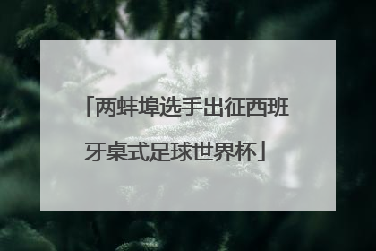 两蚌埠选手出征西班牙桌式足球世界杯