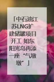 中石油江苏LNG扩建储罐项目开工 如东阳光岛再添一座“气墩墩”