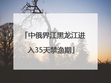 中俄界江黑龙江进入35天禁渔期