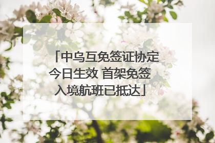 中乌互免签证协定今日生效 首架免签入境航班已抵达