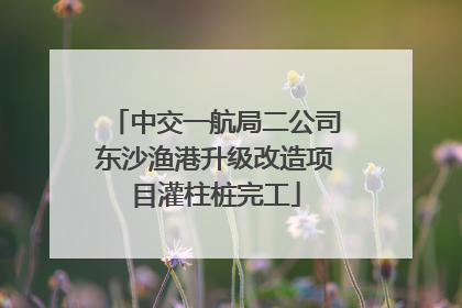 中交一航局二公司东沙渔港升级改造项目灌柱桩完工
