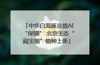 中华白海豚喜提AI“保镖” 北京生态“藏宝图”物种上新