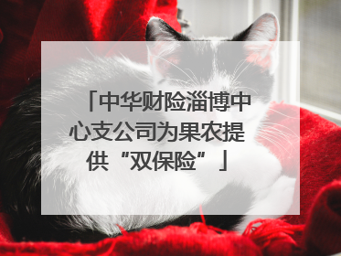 中华财险淄博中心支公司为果农提供“双保险”